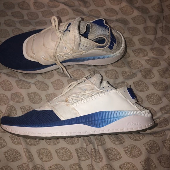 Blue & White Puma - Picture 9 of 10